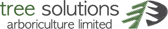 Tree Solutions Ltd